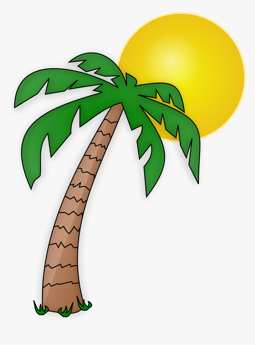 See Here New 2018 Free Pictures Download Palm Tree - Palm Tree Clipart Transparent Background, HD Png Download, Free Download