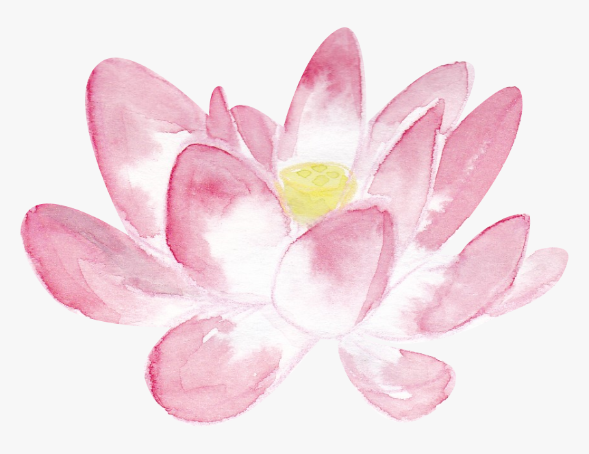 Pink Lotus Png In Watercolor Large - Pink Lotus Png, Transparent Png, Free Download