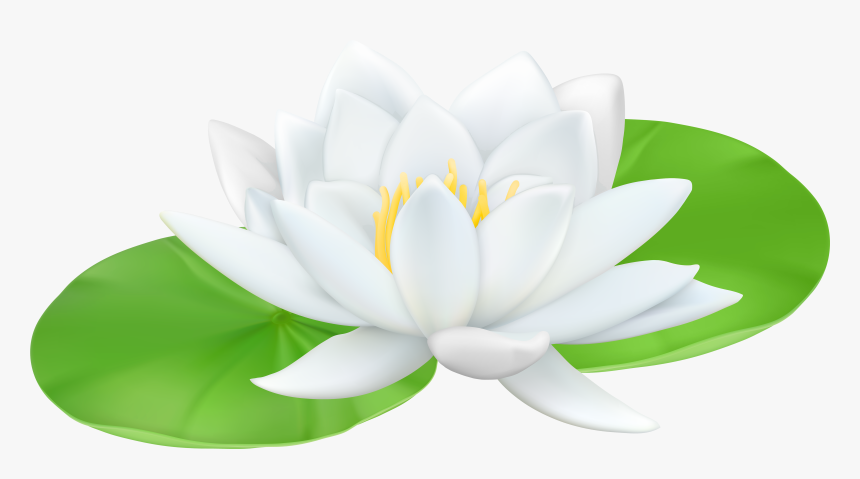 Lotus - Water Lily Flower Clipart, HD Png Download, Free Download