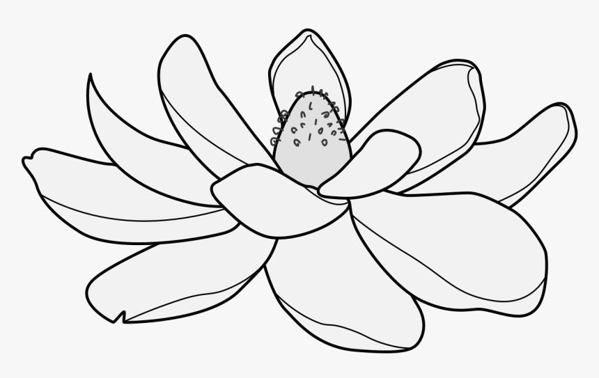 Lotus , Png Download - Lotus, Transparent Png, Free Download