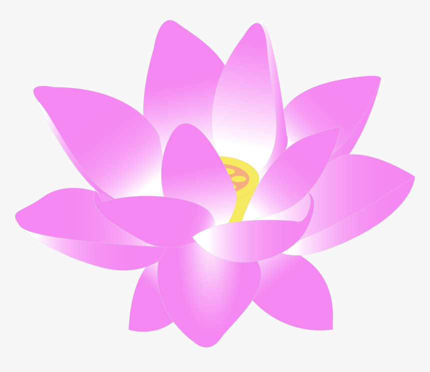 Lotus Blossom Png - Flowers Clip Art Png, Transparent Png, Free Download