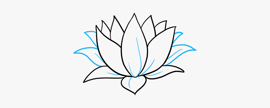 How To Draw Lotus Flower - Water Lily Drawing Simple, HD Png Download, Free Download