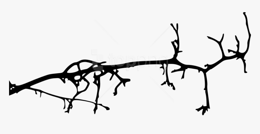 Free Png Simple Tree Branch Png - Simple Tree Branch Drawing, Transparent Png, Free Download