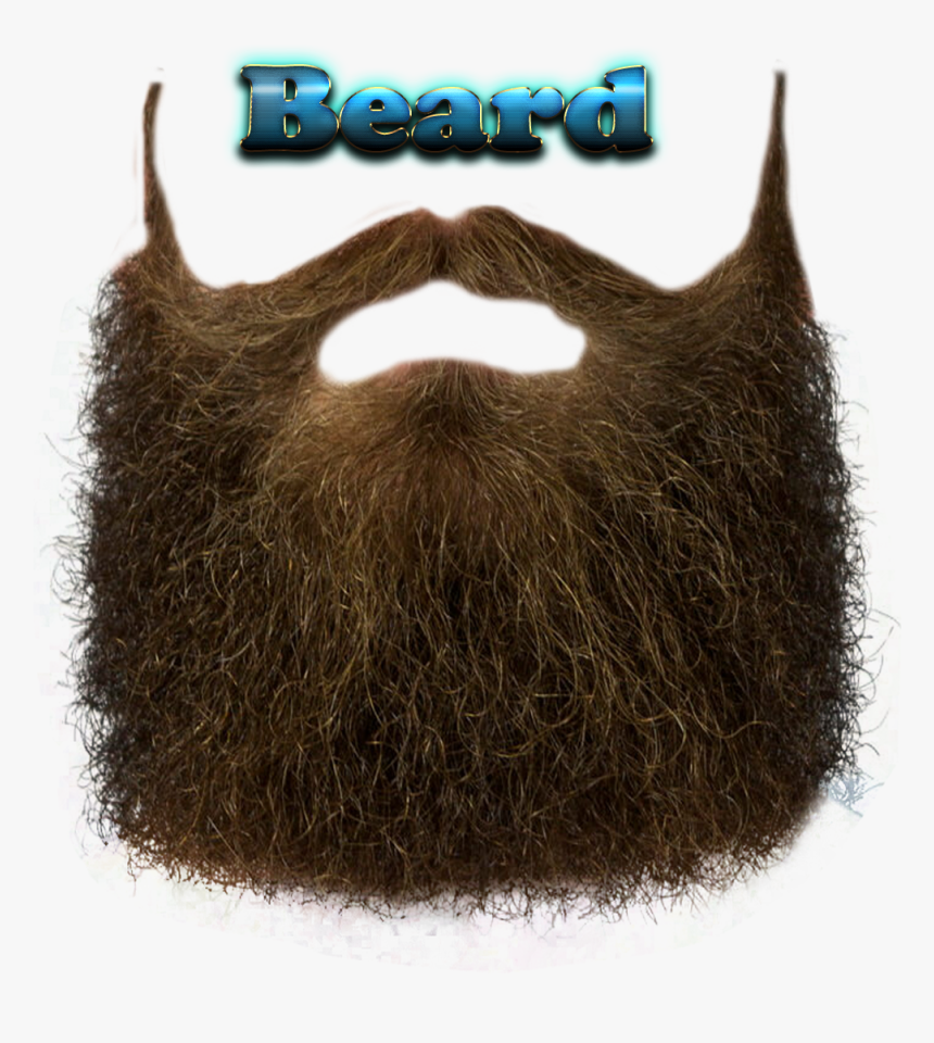 Beard Free Download Png, Transparent Png, Free Download