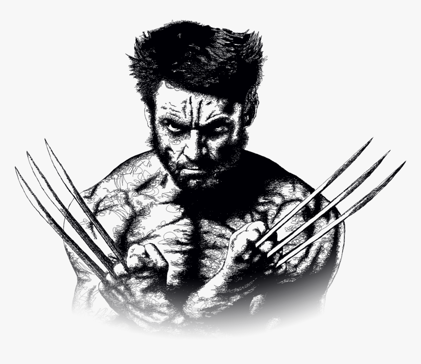 Wolverine Minerva Design Drawing - Wolverine Black And White, HD Png Download, Free Download