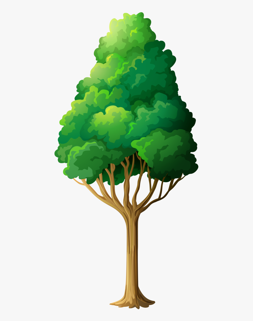 Green Tree Png Clipart - Clipart Of Trees Png, Transparent Png, Free Download