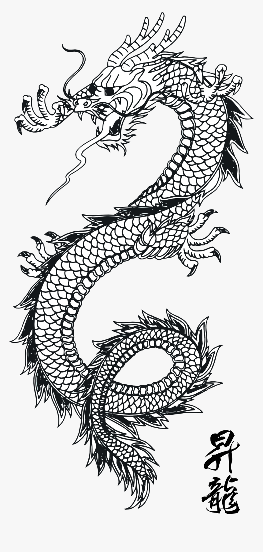 Chinese Dragon Line Art, HD Png Download, Free Download