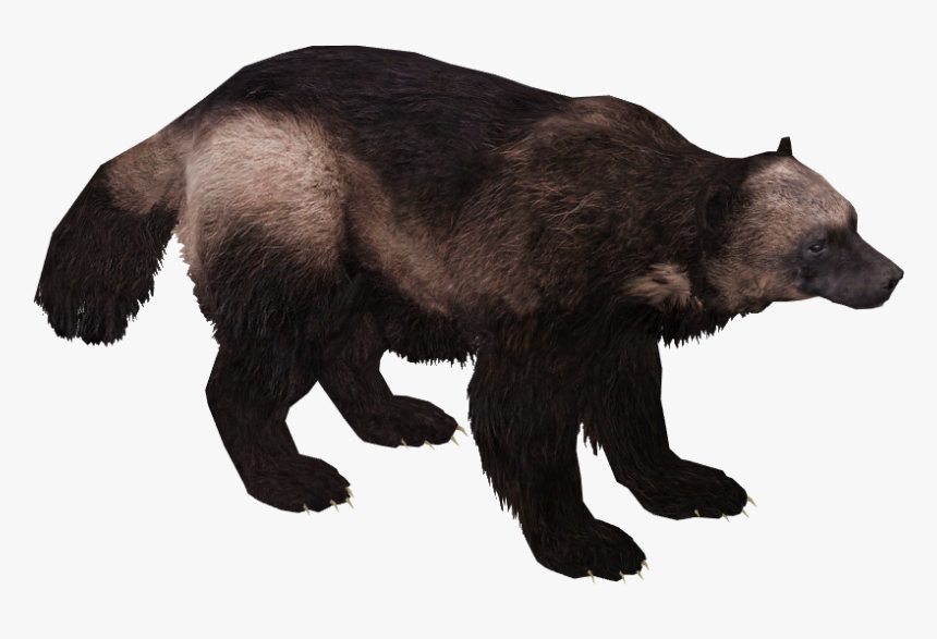 Wolverine Animal Png, Transparent Png, Free Download