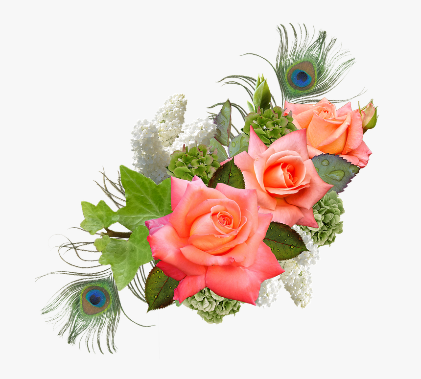 Rose, Rose Flower, Hydrangeas, Lilac, Peacock - Transparent Png Format Flower Png, Png Download, Free Download