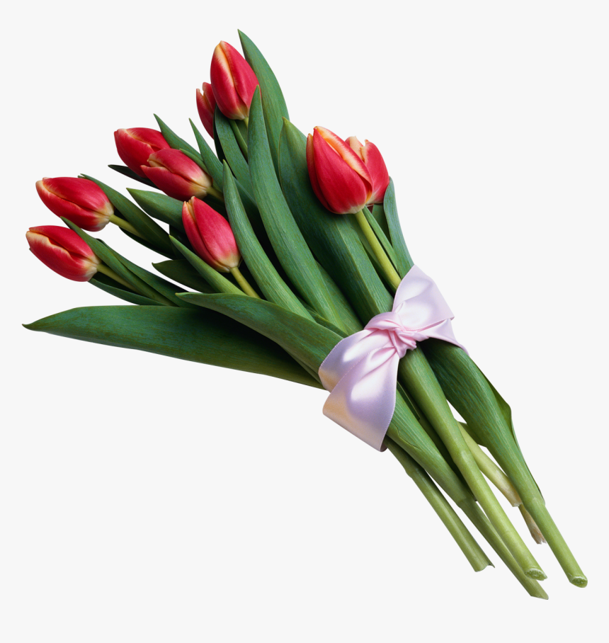 Tulip Flower Bouquet Clip Art - Flower Bouquet Transparent Background, HD Png Download, Free Download