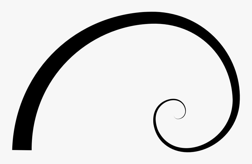 Transparent Fibonacci Spiral Png - Golden Ratio Spiral Png, Png Download, Free Download