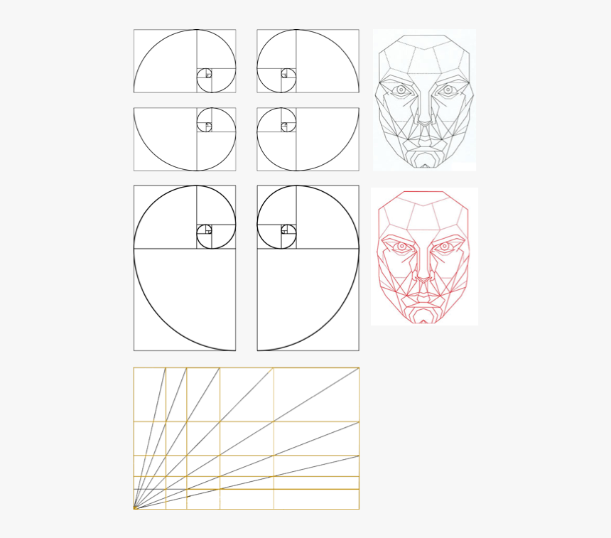 Golden Ratio Mask , Png Download - Circle, Transparent Png, Free Download