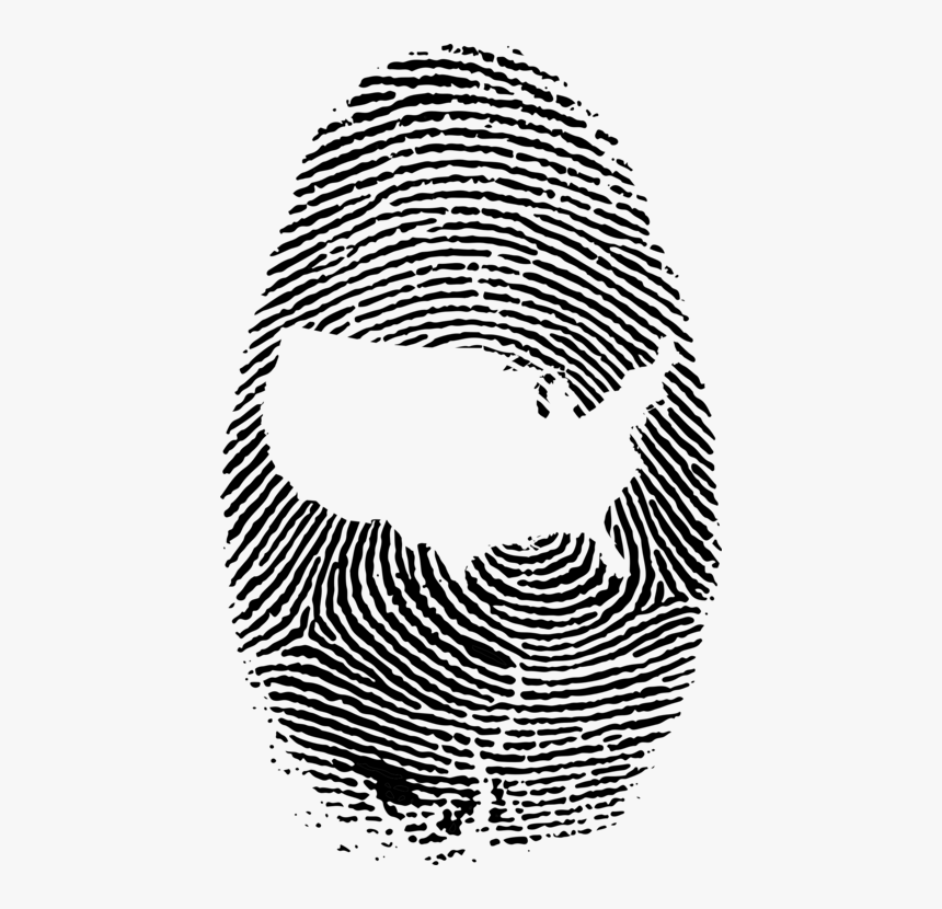 Line Art,head,symmetry - Transparent Background Fingerprint Png, Png Download, Free Download