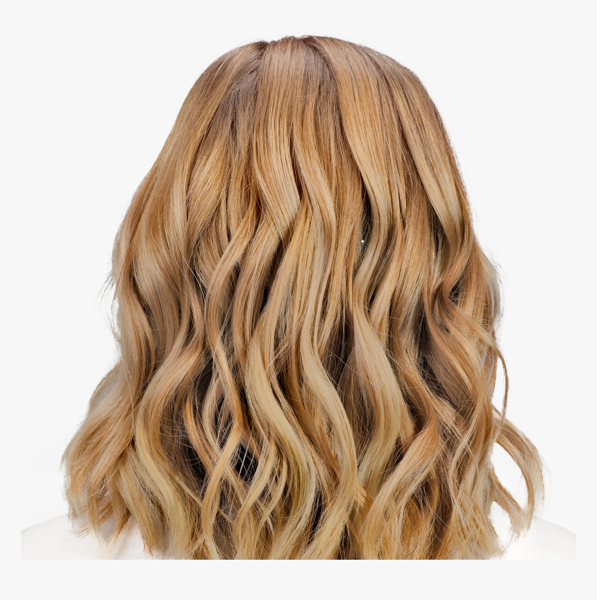 Natural Blonde Hair , Png Download - Blonde Hair From The Back, Transparent Png, Free Download