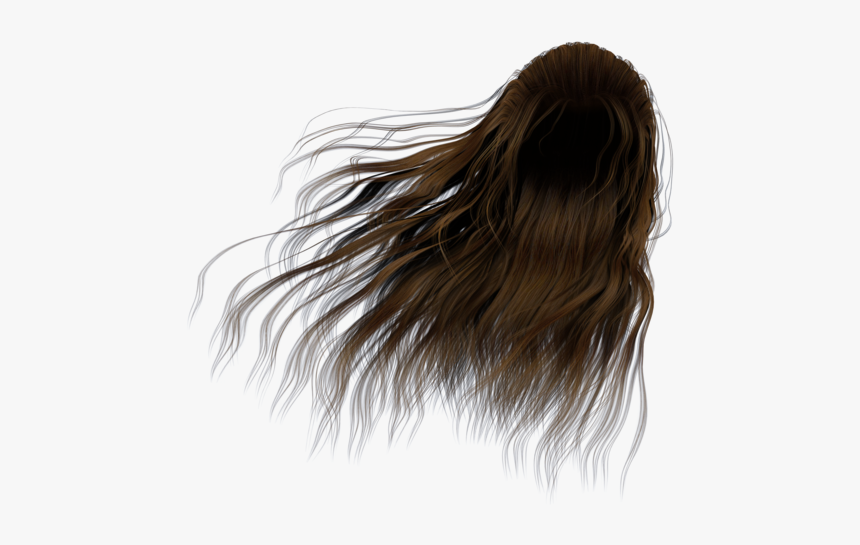 Hair In The Wind Png, Transparent Png, Free Download