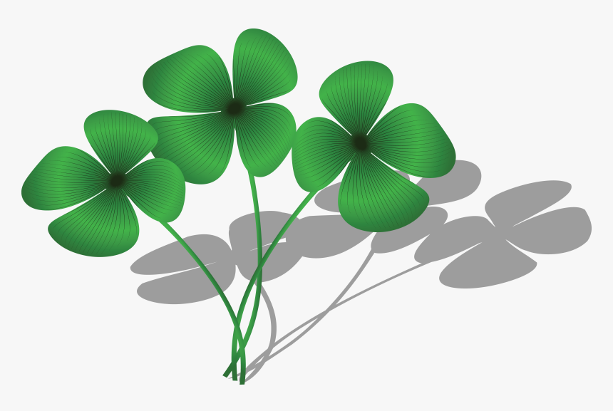 Free Clipart Of A Trio Of Four Leaf Clovers And Shadows - Clovers Clipart, HD Png Download, Free Download