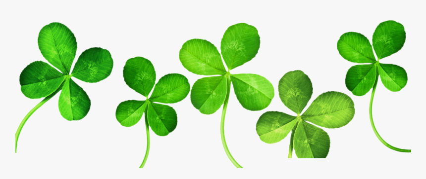 Four Leaf Clip Art - 4 Leaf Clovers Clipart, HD Png Download, Free Download