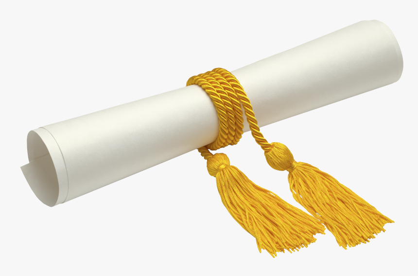 Graduate Diploma Stock Photography Academic Degree - College Diploma Png, Transparent Png, Free Download