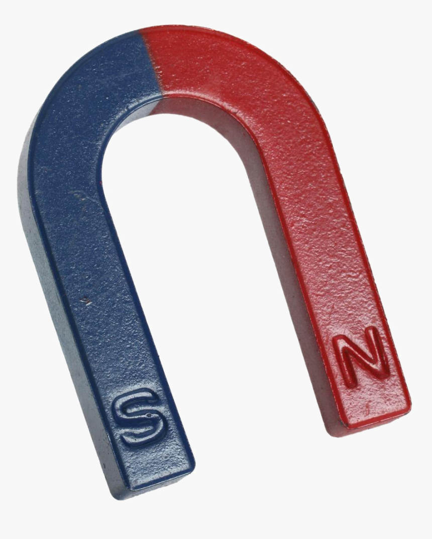 Horseshoe Magnet Png Photo - Horseshoe Magnet, Transparent Png, Free Download