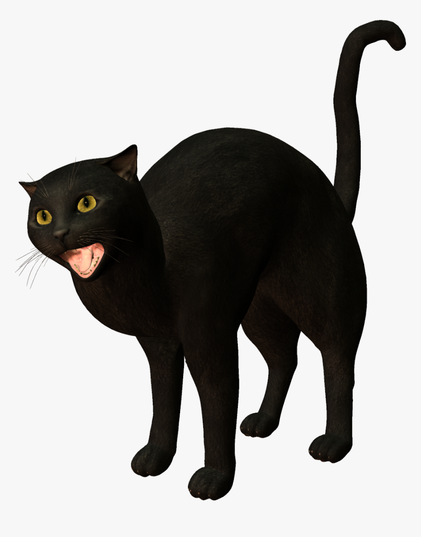Bombay Cat Burmese Cat Korat Black Cat - Cat, HD Png Download, Free Download