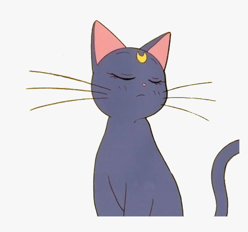 Black-cat - Sailor Moon Cat Transparent, HD Png Download, Free Download