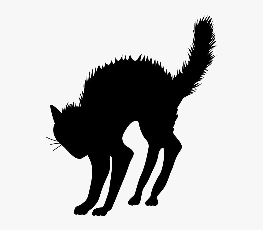 Halloween Black Cat Transparent Image - Halloween Black Cat Png, Png Download, Free Download