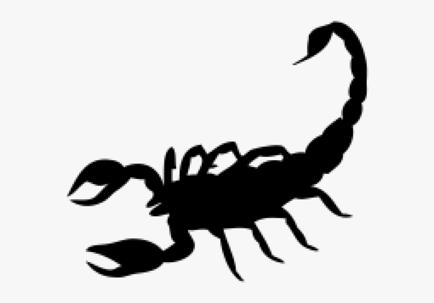 Scorpio png download  14211574  Free Transparent Scorpion png Download   CleanPNG  KissPNG