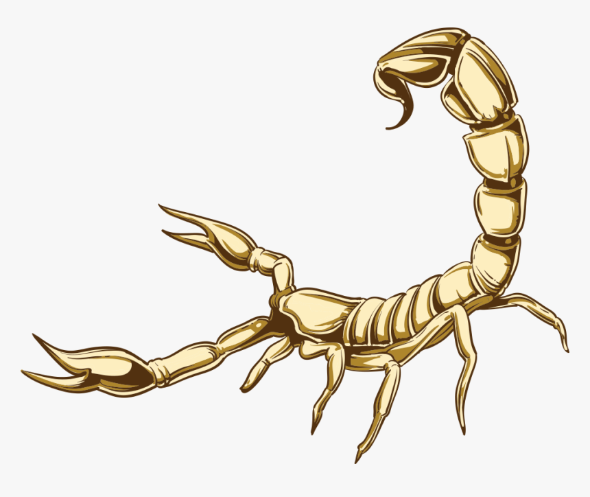 Transparent Scorpio Png - Cartoon Scorpion Transparent Background, Png Download, Free Download