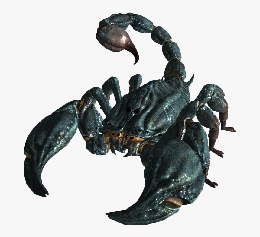 Scorpion Png Image - Radscorpion Fallout New Vegas, Transparent Png, Free Download