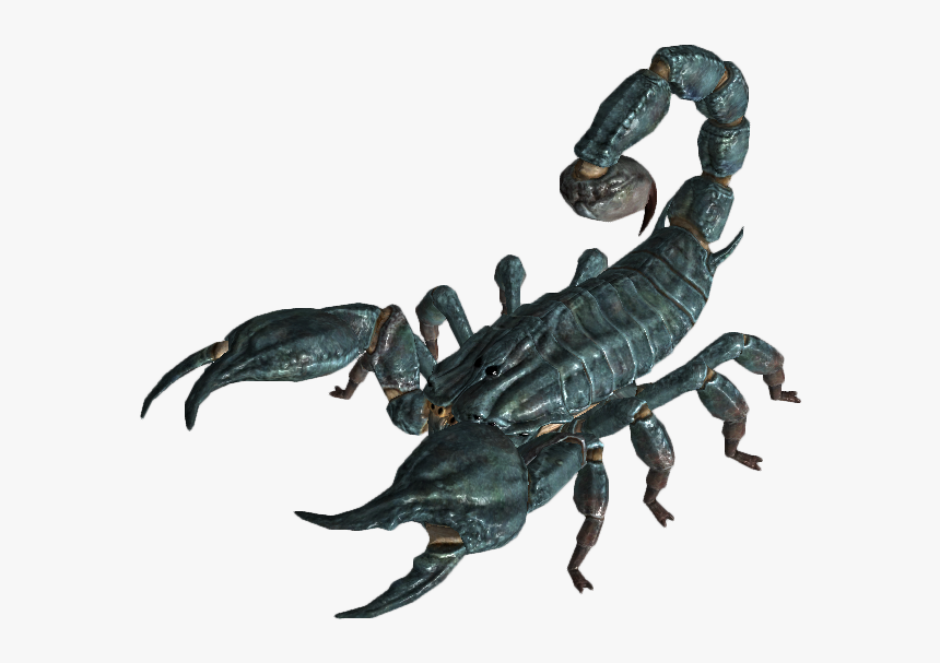 Scorpion Png Image - Fallout 3 Radscorpion, Transparent Png, Free Download