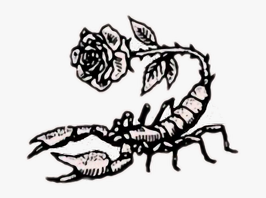 Drawing Scorpions Anime Transparent Png Clipart Free - Scorpion Drawing, Png Download, Free Download