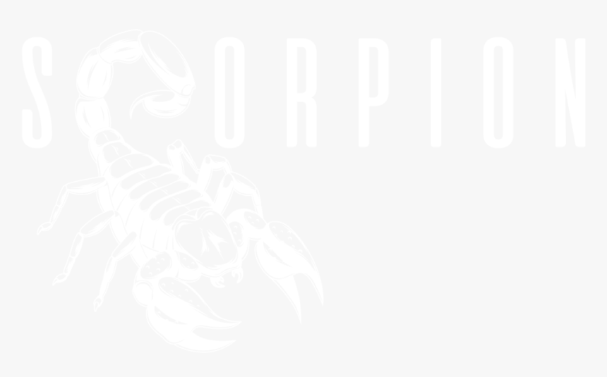 Scorpion, HD Png Download, Free Download