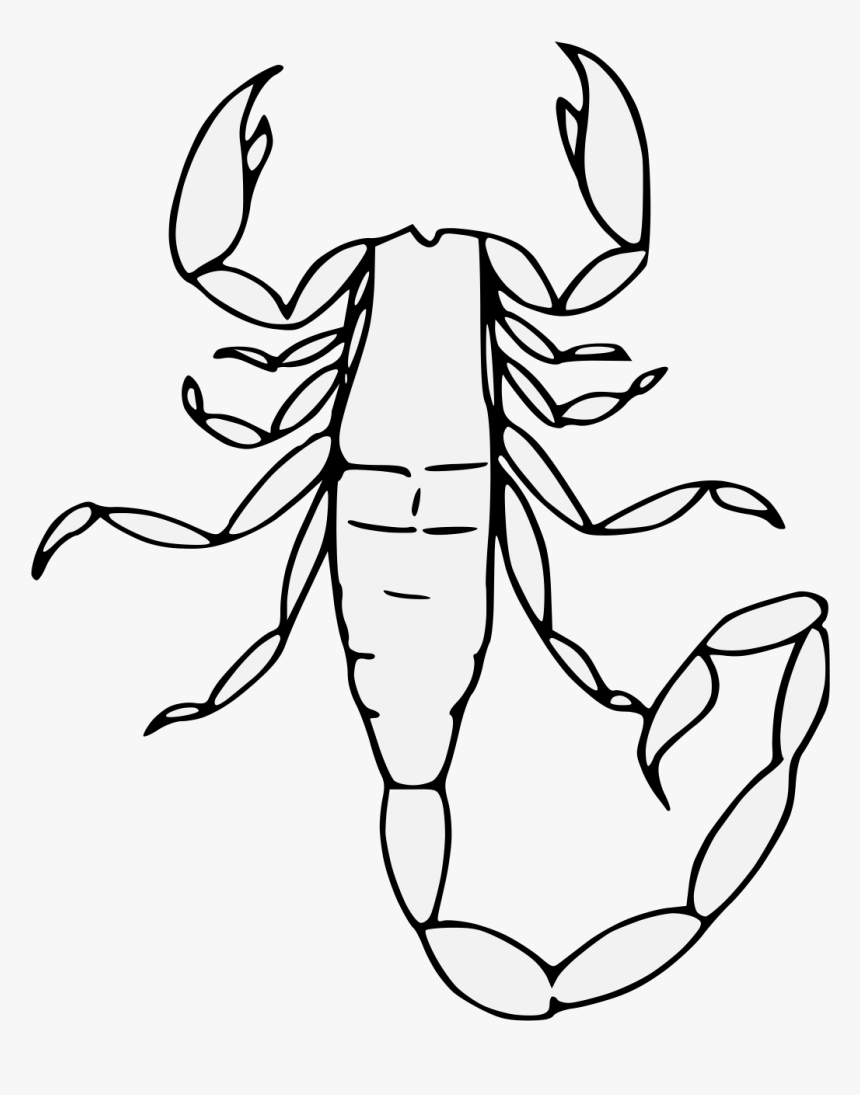 Scorpion Heraldry, HD Png Download, Free Download