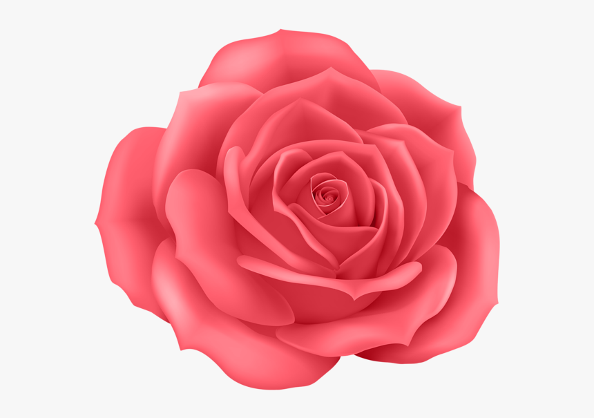 Pink Rose Png - Pink Rose Cartoon Png, Transparent Png, Free Download