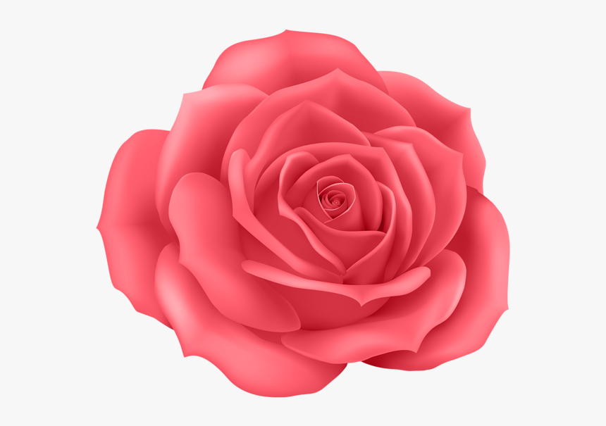 Pink Rose Png - Pink Rose Cartoon Png, Transparent Png - kindpng