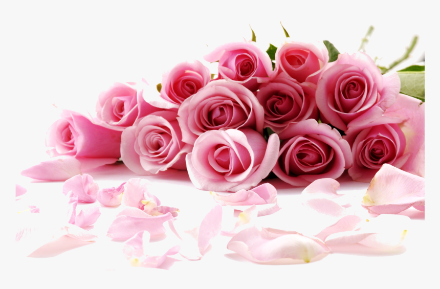 Rose Flower Desktop Wallpaper Stock - Rose Wallpaper Hd For Pc, HD Png Download, Free Download