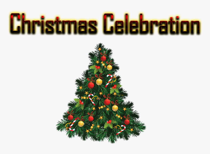 Christmas Celebration Png Free Background - Christmas Fir Tree Png, Transparent Png, Free Download