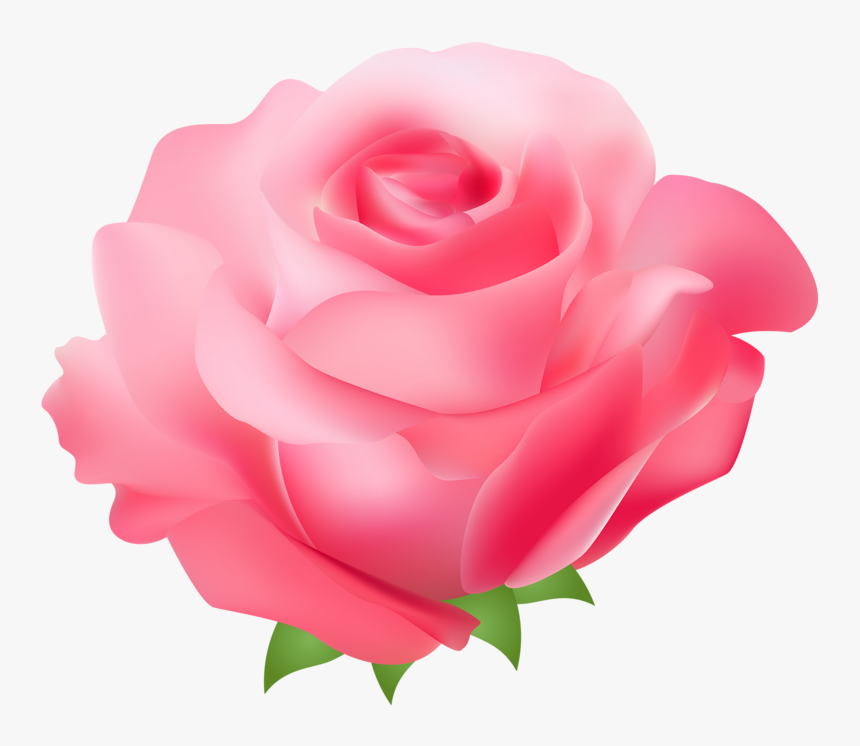 Rose Pink Free Clip Art - Pink Rose Png Clipart, Transparent Png, Free Download