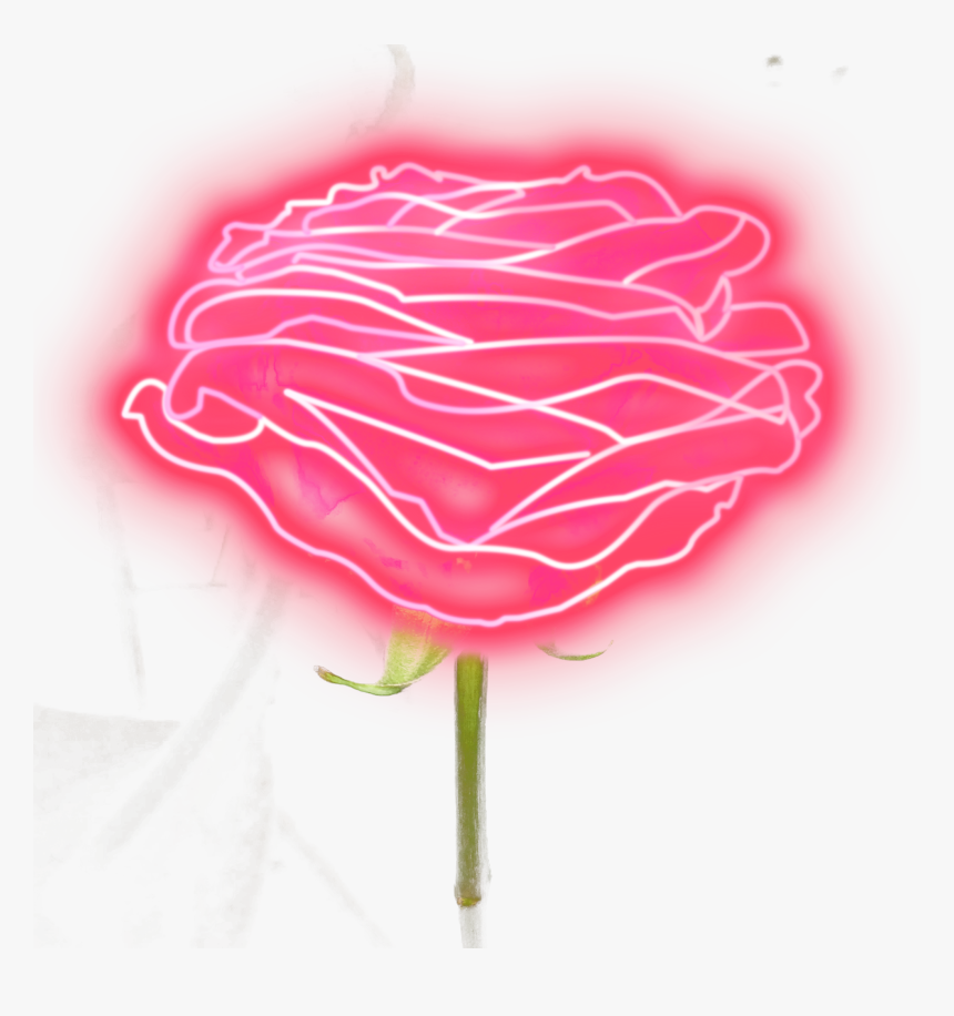 Neon Rose Png Clip Art Freeuse Library - Neon Pink Rose Png, Transparent Png, Free Download