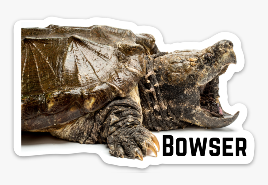 Bowser Sticker - Bowser Reptarium, HD Png Download, Free Download