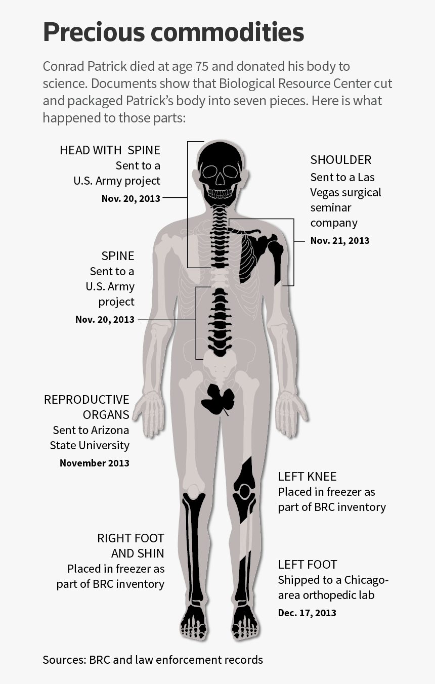 Inside A Business Where Human Bodies Were Butchered, - Phoenix Biological Resource Center, HD Png Download, Free Download