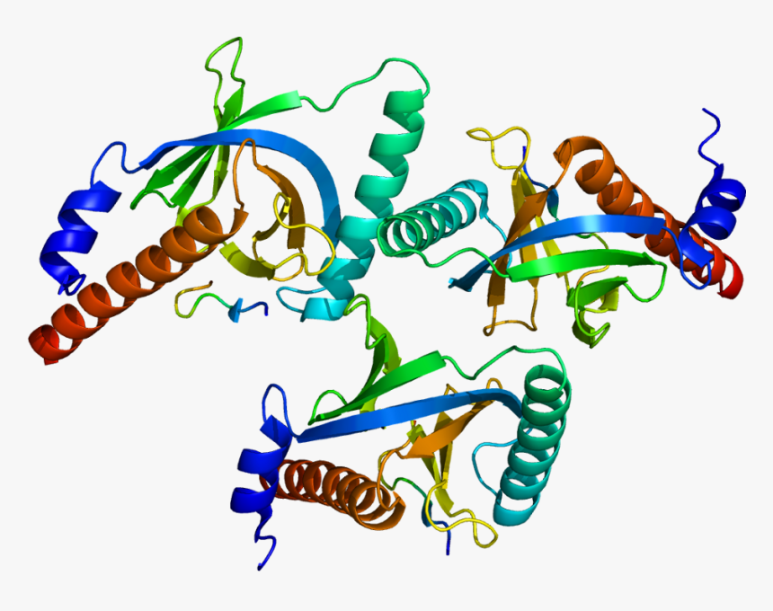 Protein Dab2 Pdb 1m7e - Dab2 Domain Structure, HD Png Download, Free Download