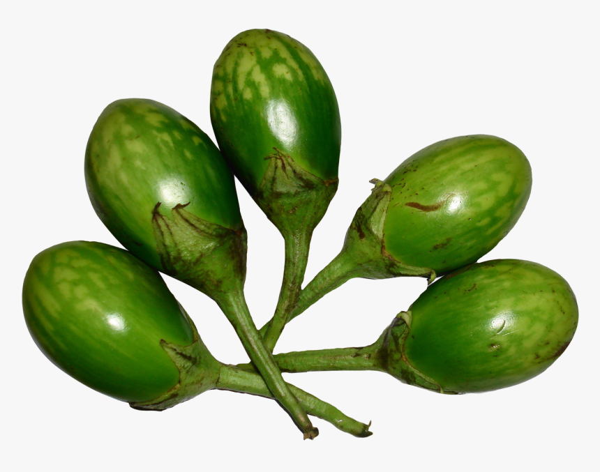 Vegetable Images Png Brinjal, Transparent Png, Free Download