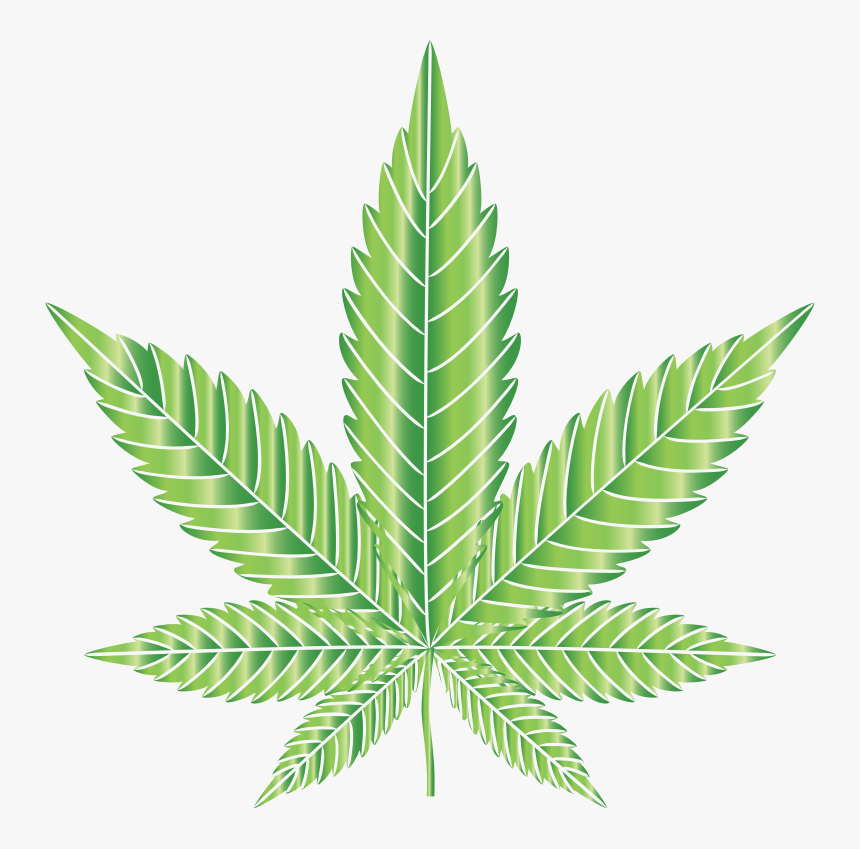 Marijuana Leaf Type Ii Prismatic - Marijuana Leaves Vector, HD Png Download, Free Download