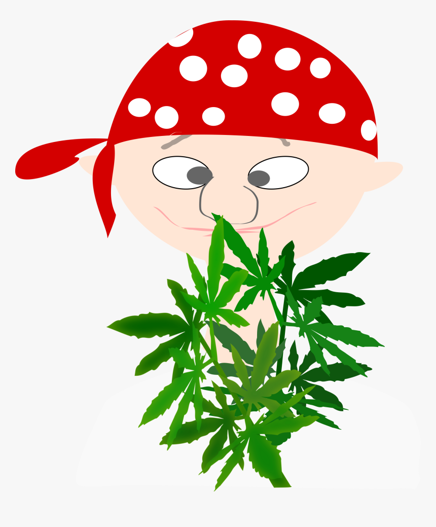 Pirate, Boy, Avatar, Cannabis, Euphoria, Marijuana - Botanist Clipart, HD Png Download, Free Download