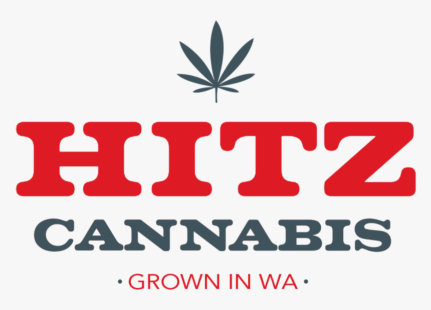 Hitz Logo Website - Graphic Design, HD Png Download, Free Download