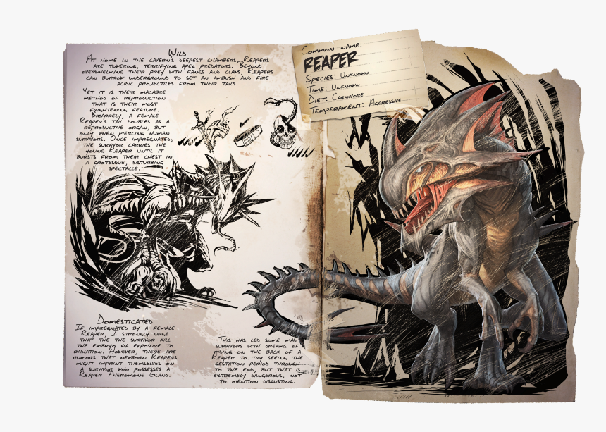 Ark Survival Evolved Reaper Queen, HD Png Download, Free Download