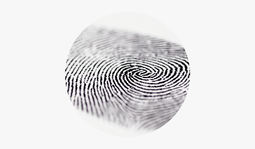 Fingerprint Technology - Finger Print Technology Png, Transparent Png, Free Download