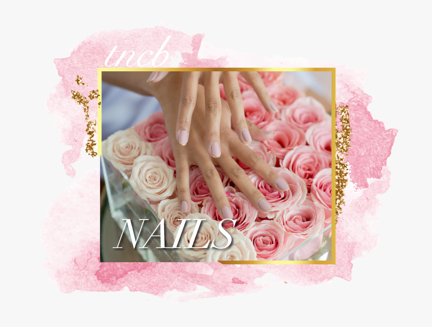 Tncb Featurebanner Nails - Garden Roses, HD Png Download, Free Download