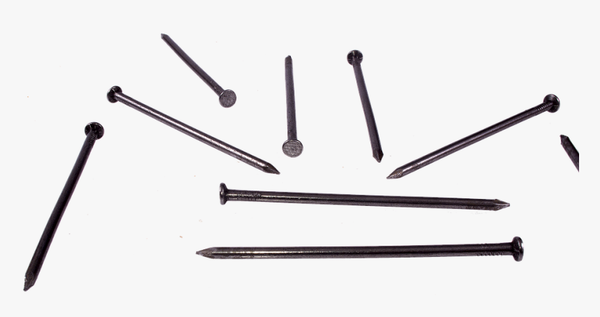 Nail, Nails, Wire Pins, Carpenter"s Nail, Nail Head - Clous Png, Transparent Png, Free Download